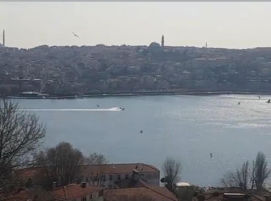 Deniz Manzarasi, Marti Sesleri Esliginde Istanbul Apartment Exterior foto
