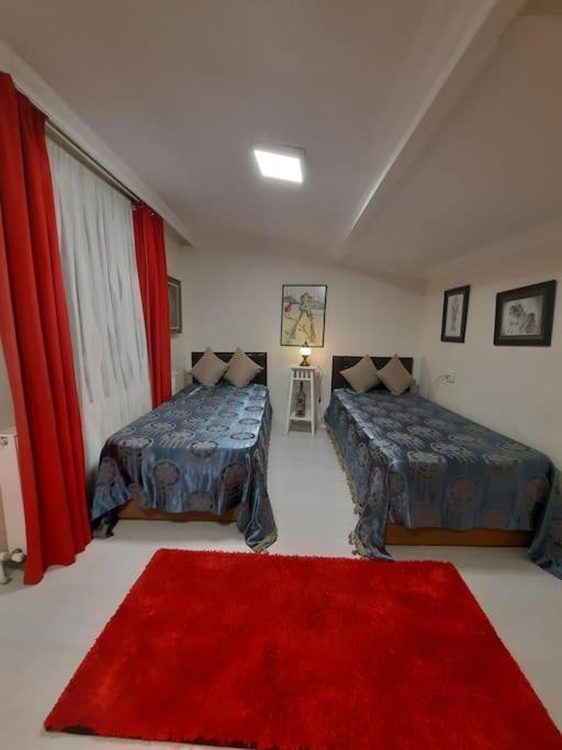 Deniz Manzarasi, Marti Sesleri Esliginde Istanbul Apartment Exterior foto